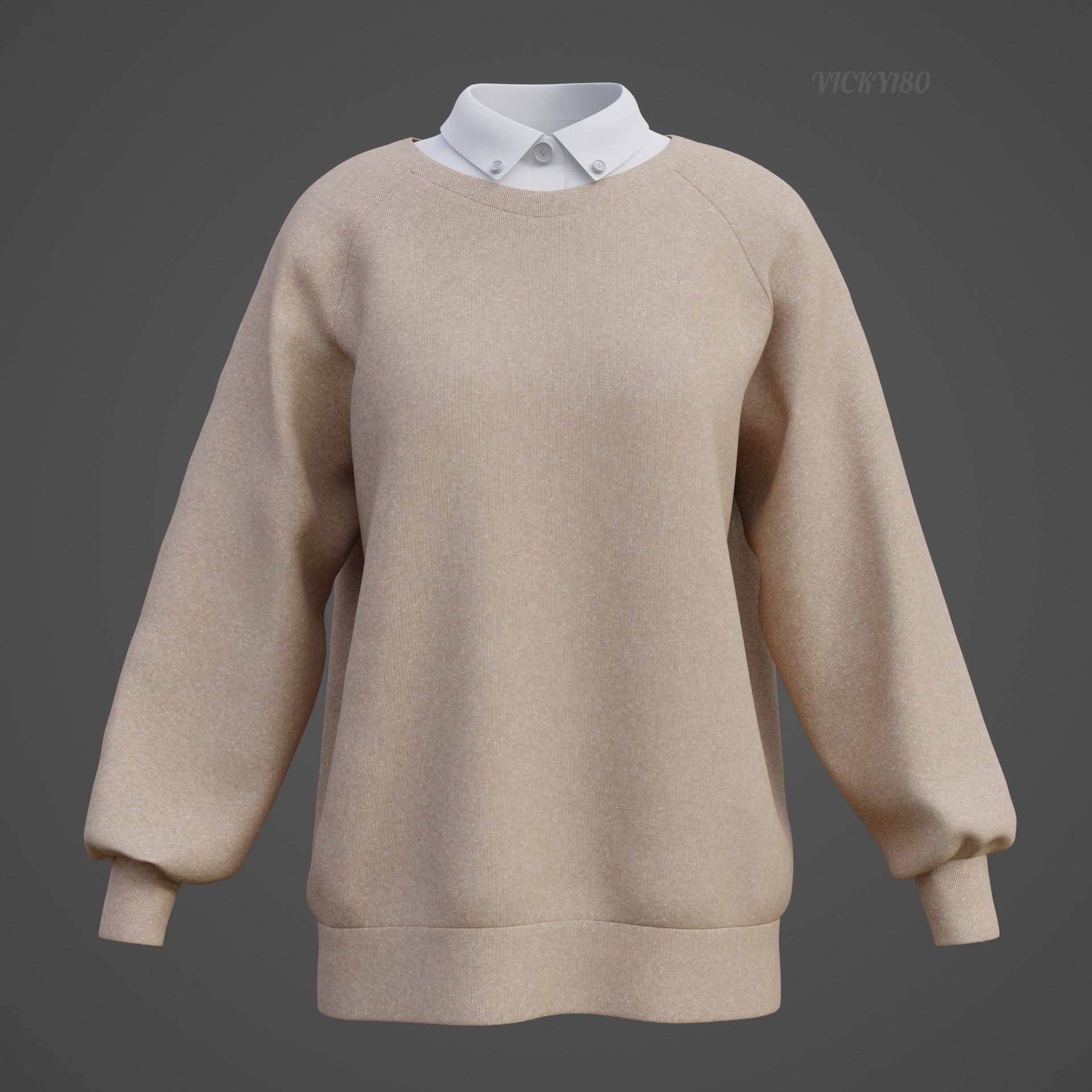 Sweater  and Collared Shirt - Knit Pullover wear formal clothing 3D model_23