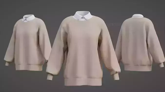 Sweater  and Collared Shirt - Knit Pullover wear formal clothing 3D model