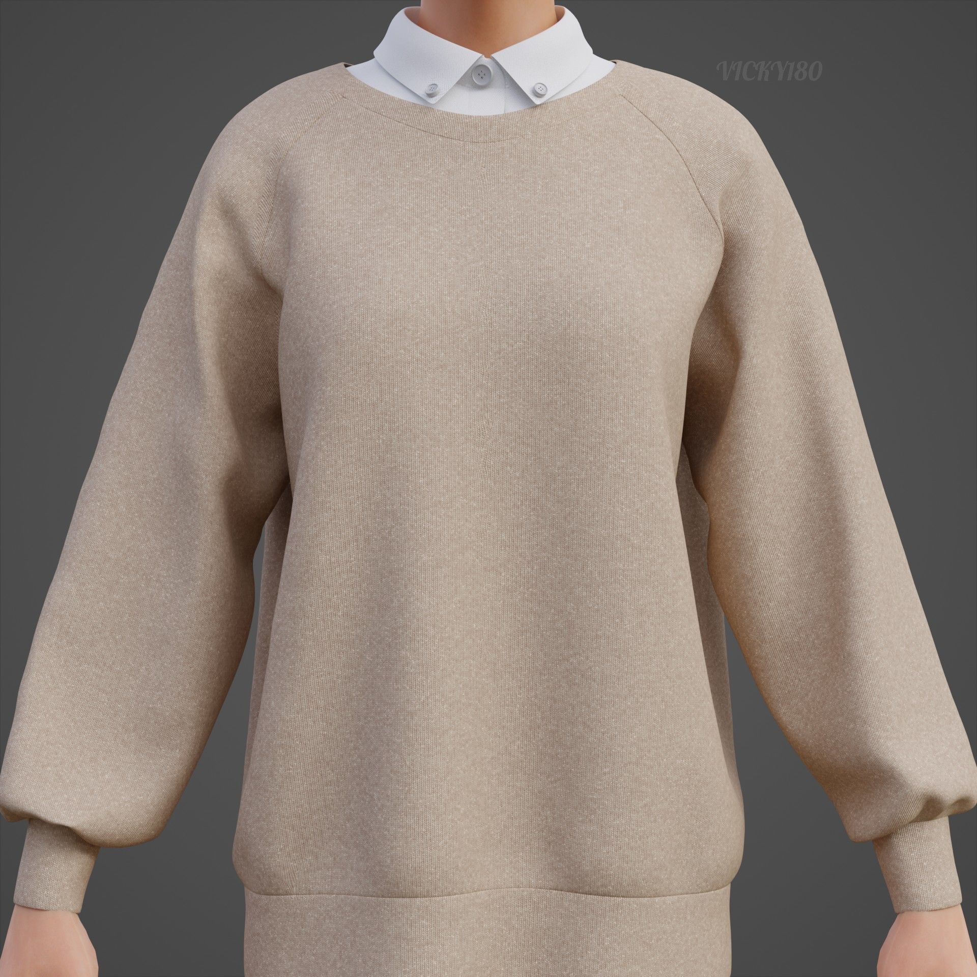Sweater  and Collared Shirt - Knit Pullover wear formal clothing 3D model_16
