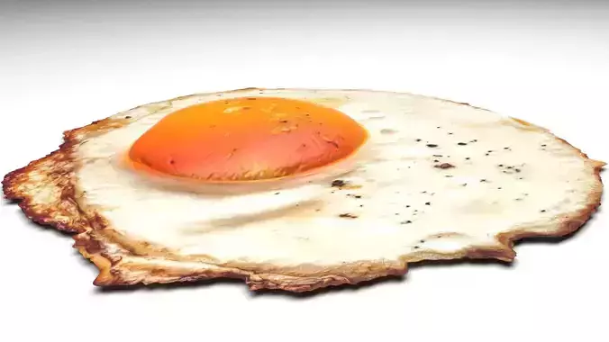 Fried Egg 3D model