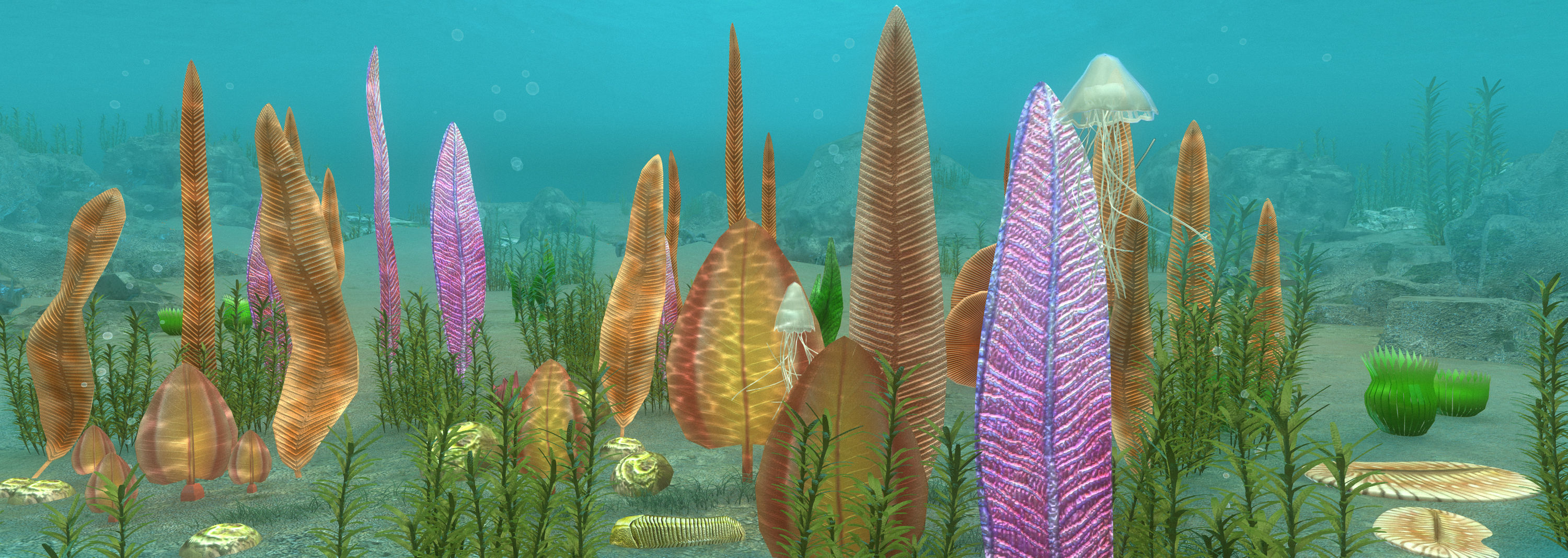 Ediacaran biota 3D model_2