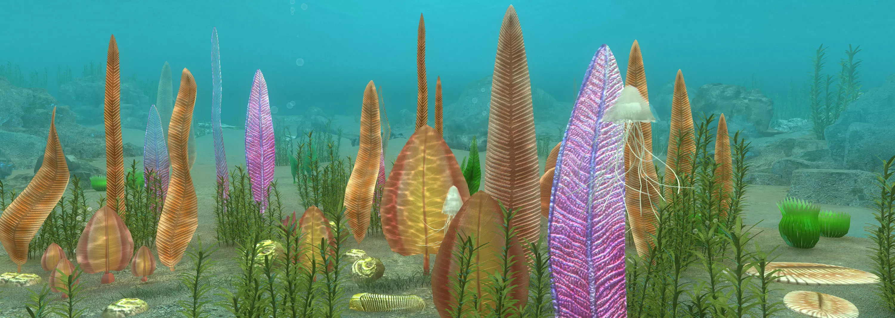 Ediacaran biota 3D model_0