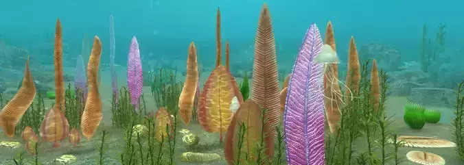 Ediacaran biota 3D model