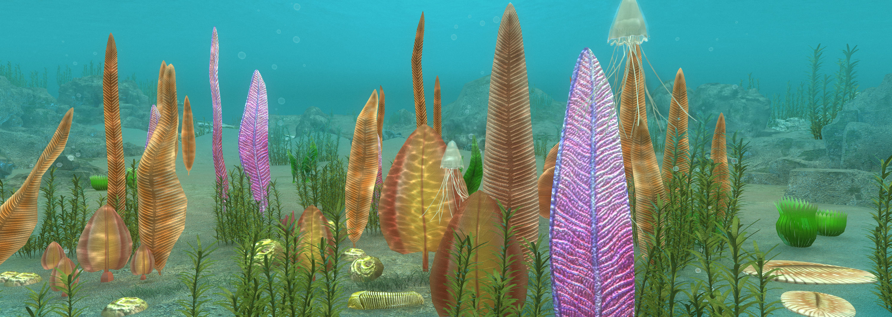 Ediacaran biota 3D model_3