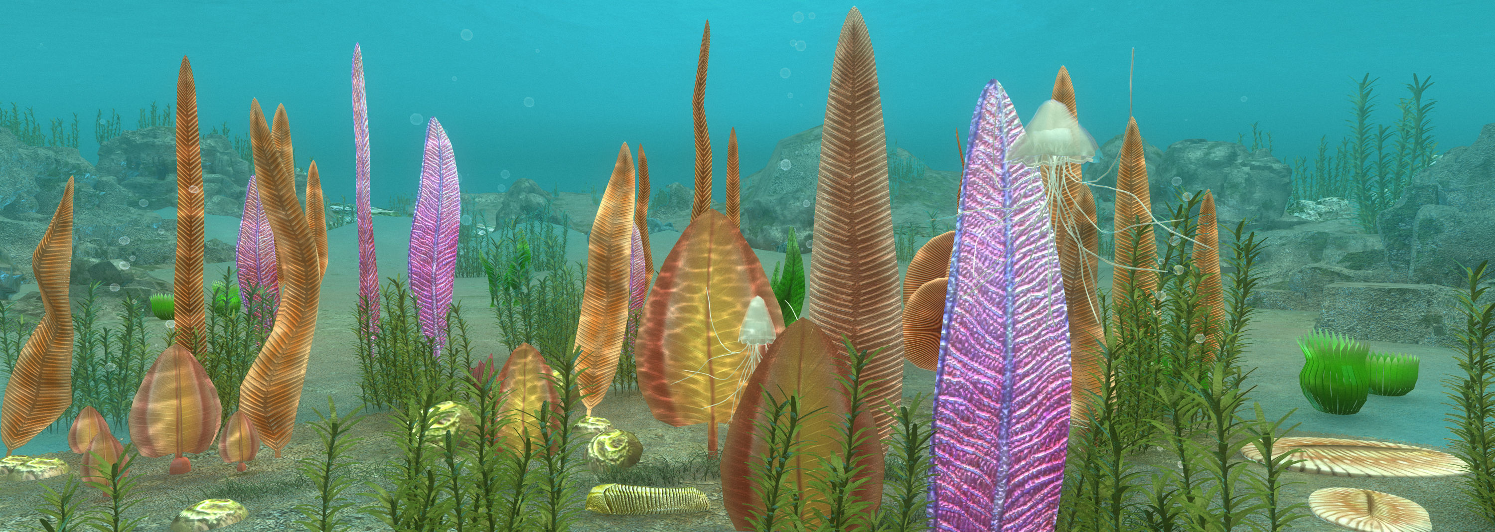 Ediacaran biota 3D model_1