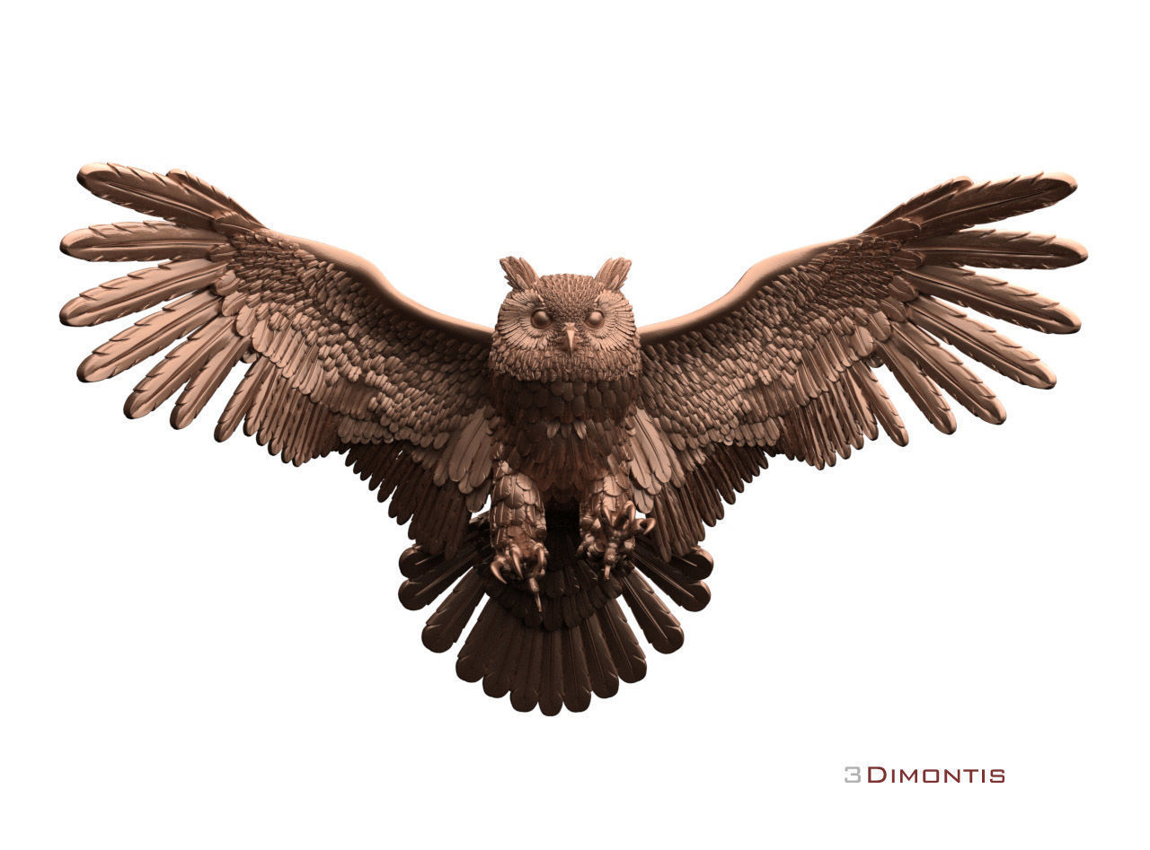 bird owl 3D print model_56