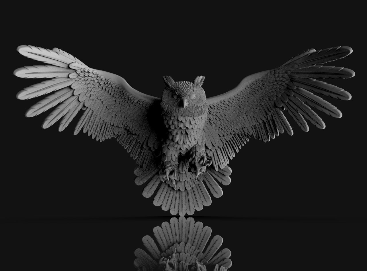 bird owl 3D print model_8