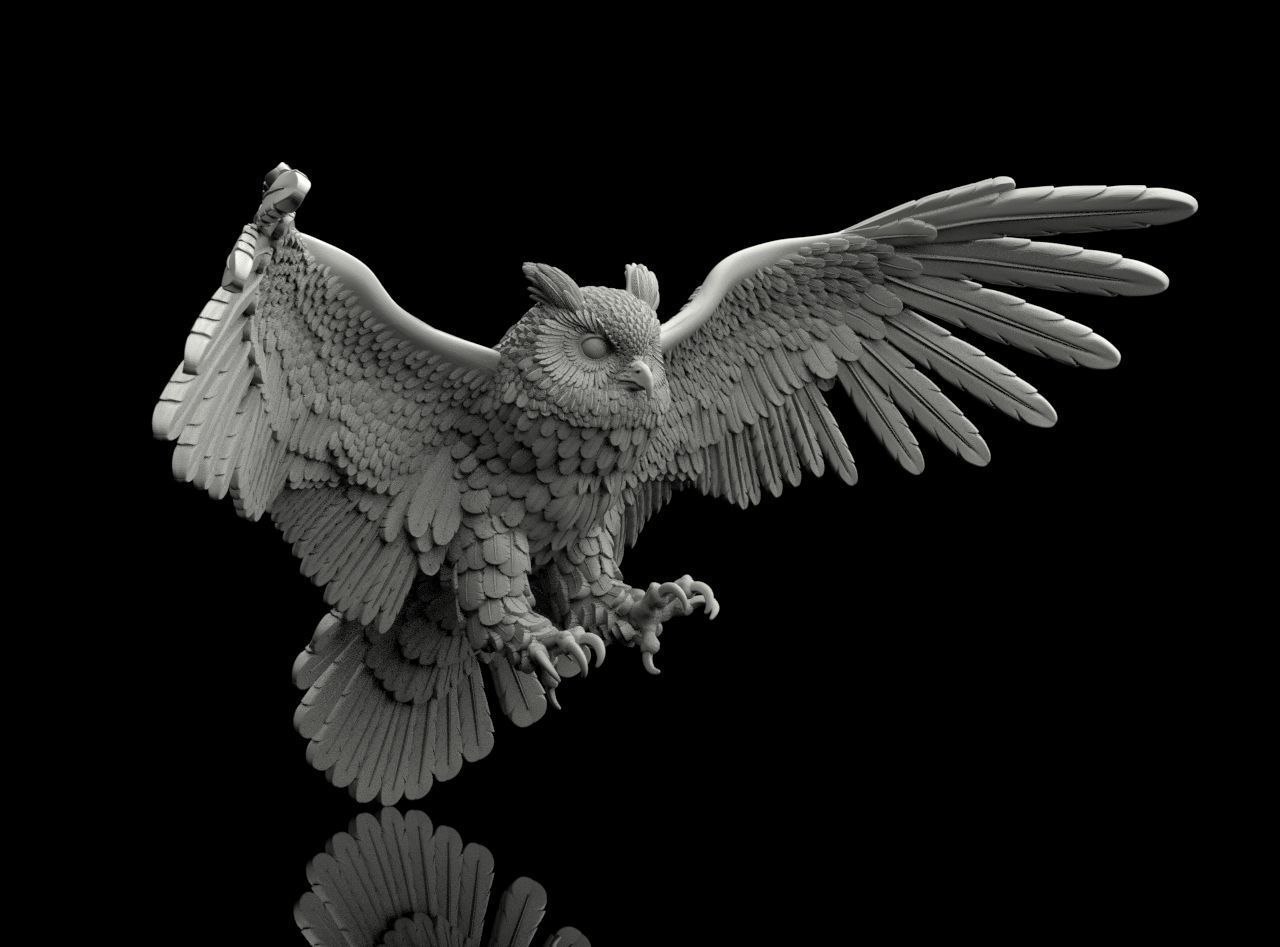 bird owl 3D print model_5