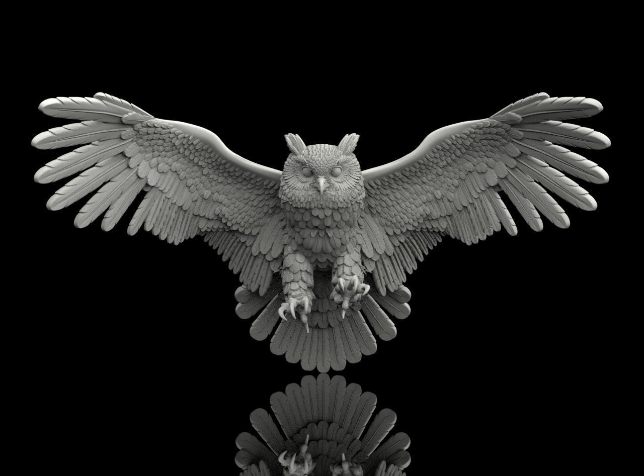bird owl 3D print model_10