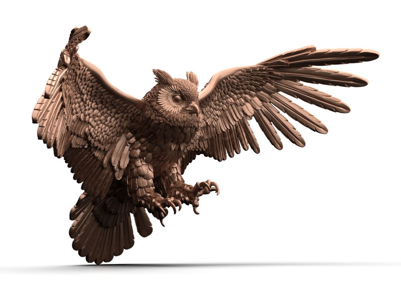 bird owl 3D print model_1