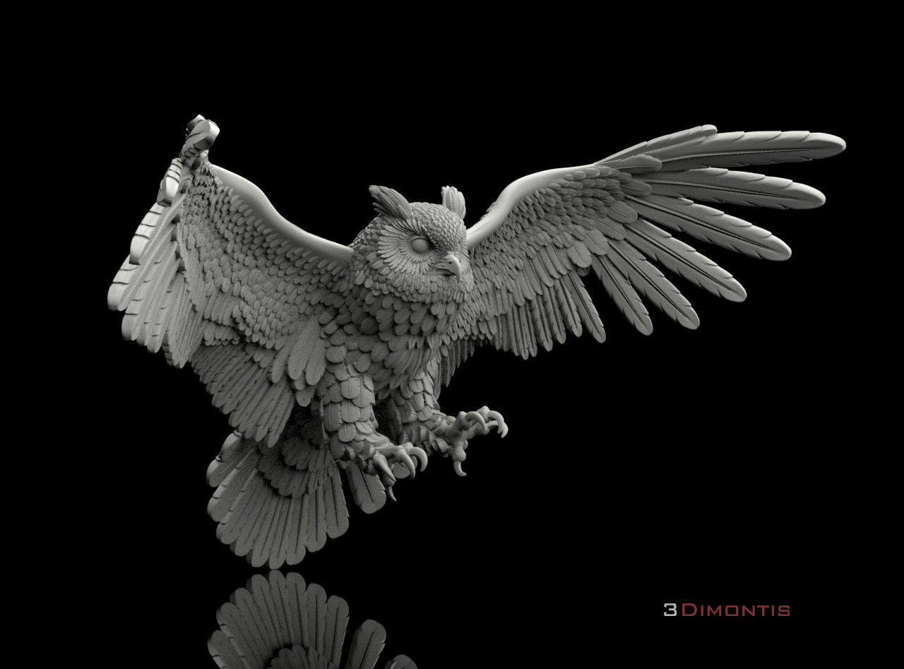 bird owl 3D print model_32