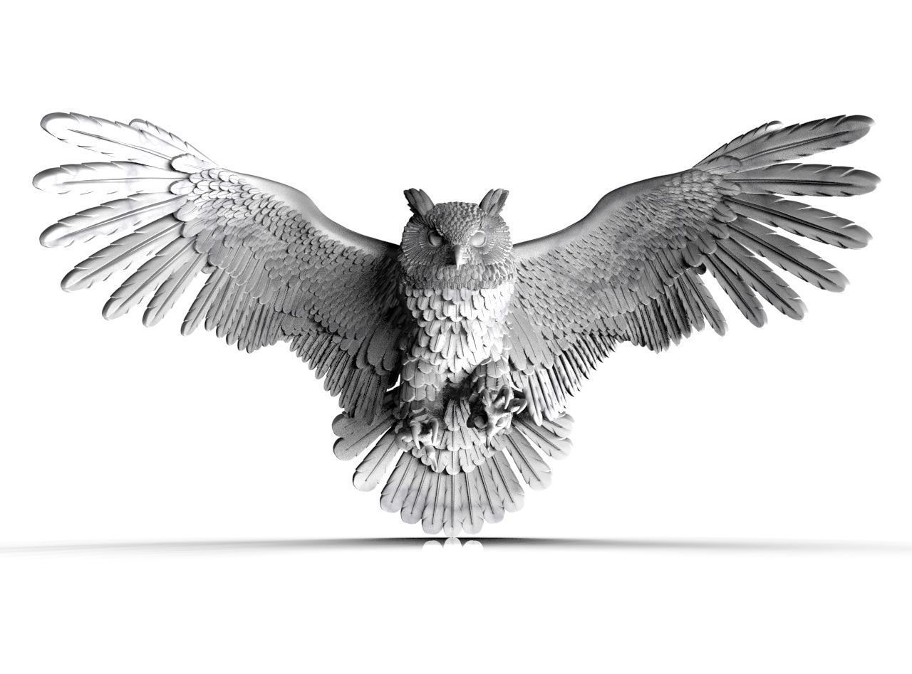 bird owl 3D print model_9