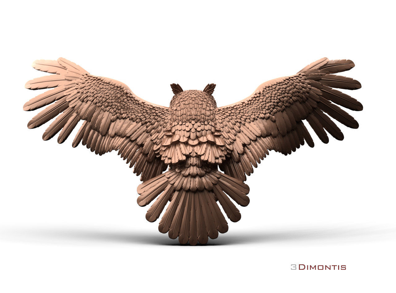 bird owl 3D print model_57