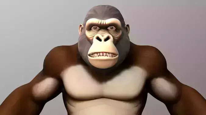 Gorilla