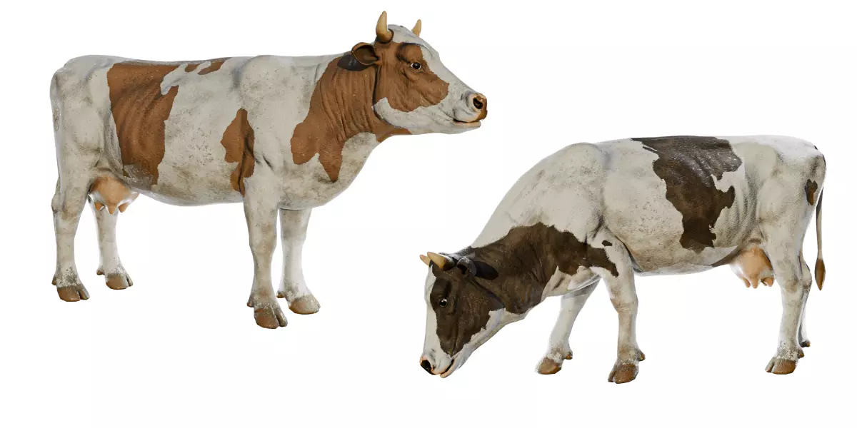 Animal Bundle Low-poly 3D model_7