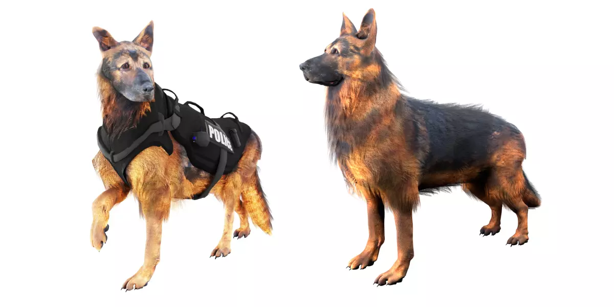 Animal Bundle Low-poly 3D model_3