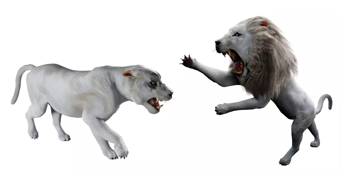 Animal Bundle Low-poly 3D model_5