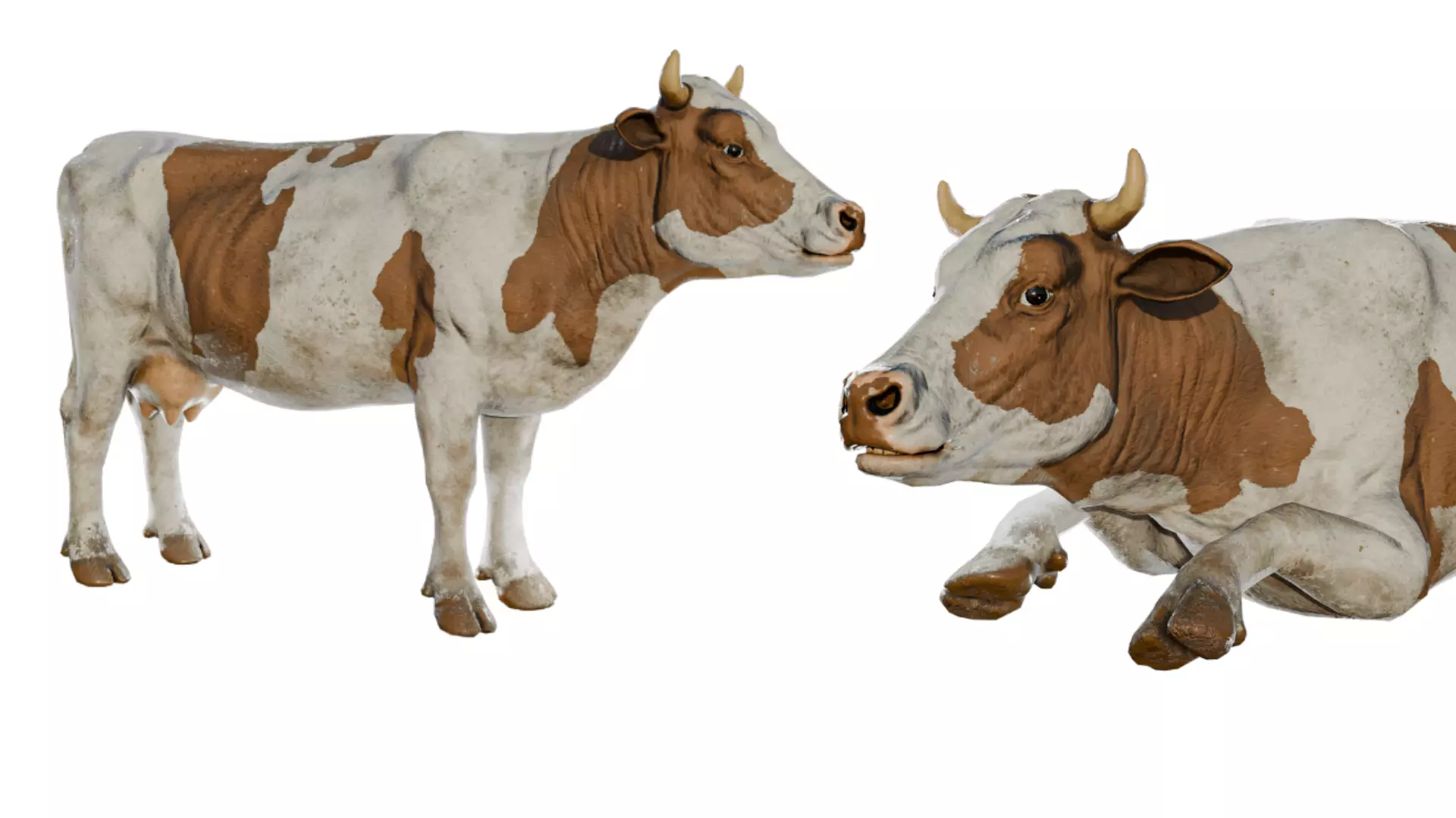 Animal Bundle Low-poly 3D model_4