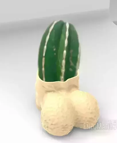 cock pot male body planter pencil holder STL 3D print model
