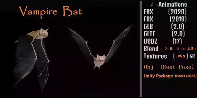 Vampire Bat Low-poly 3D model