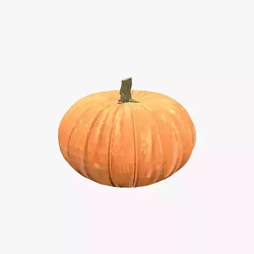 Medieval Pumpkin V01