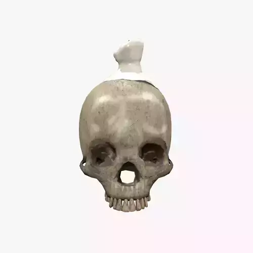 Medieval Skull V02