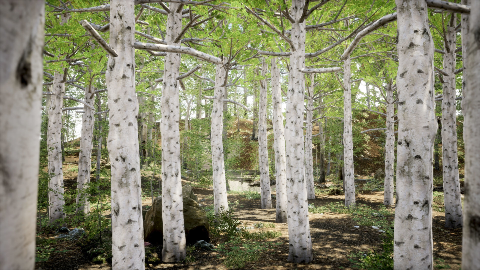 Korean Street Plant - 5 Korean Aspen Conifer Tree Low-poly 3D model_1