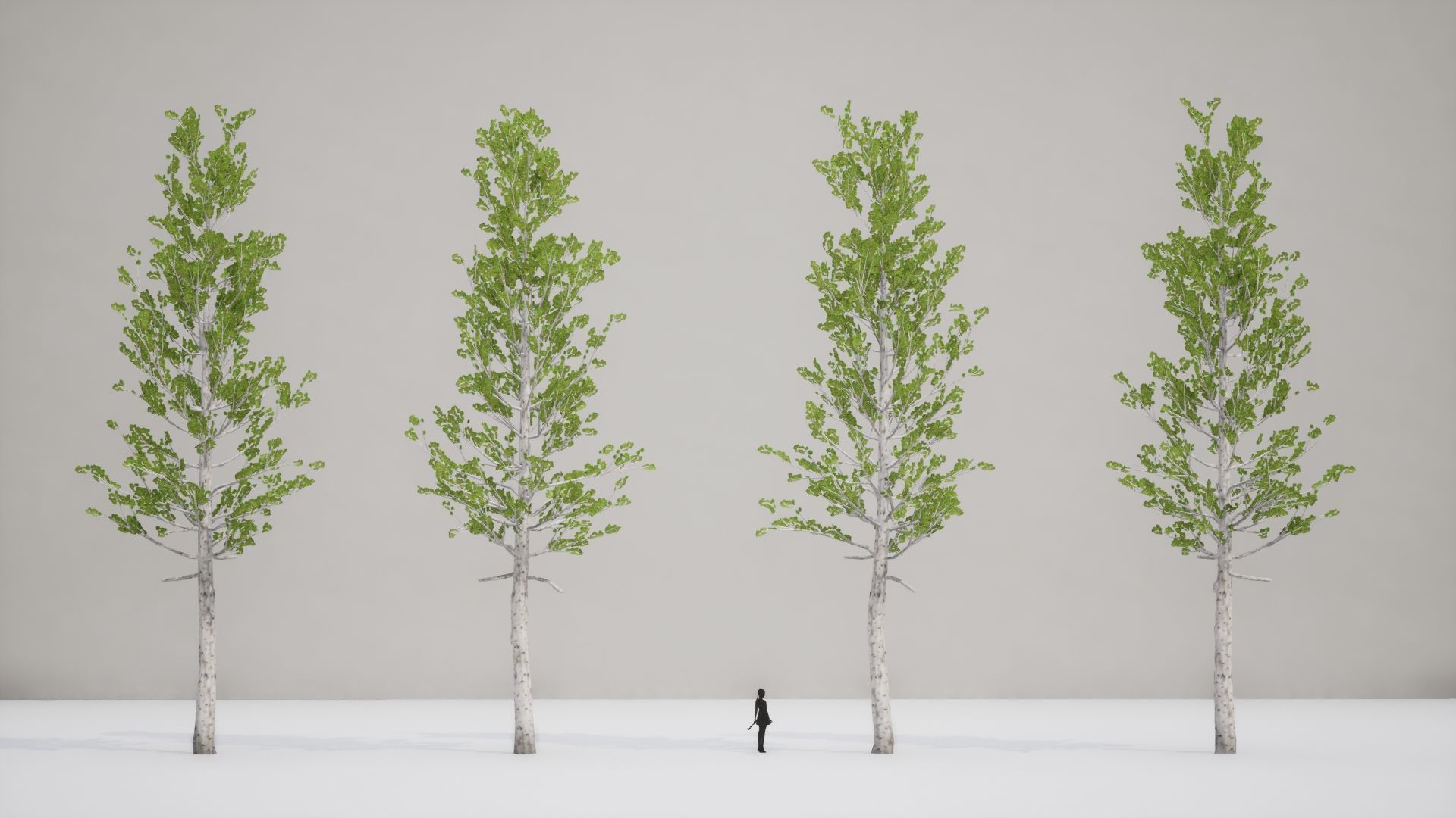 Korean Street Plant - 5 Korean Aspen Conifer Tree Low-poly 3D model_8