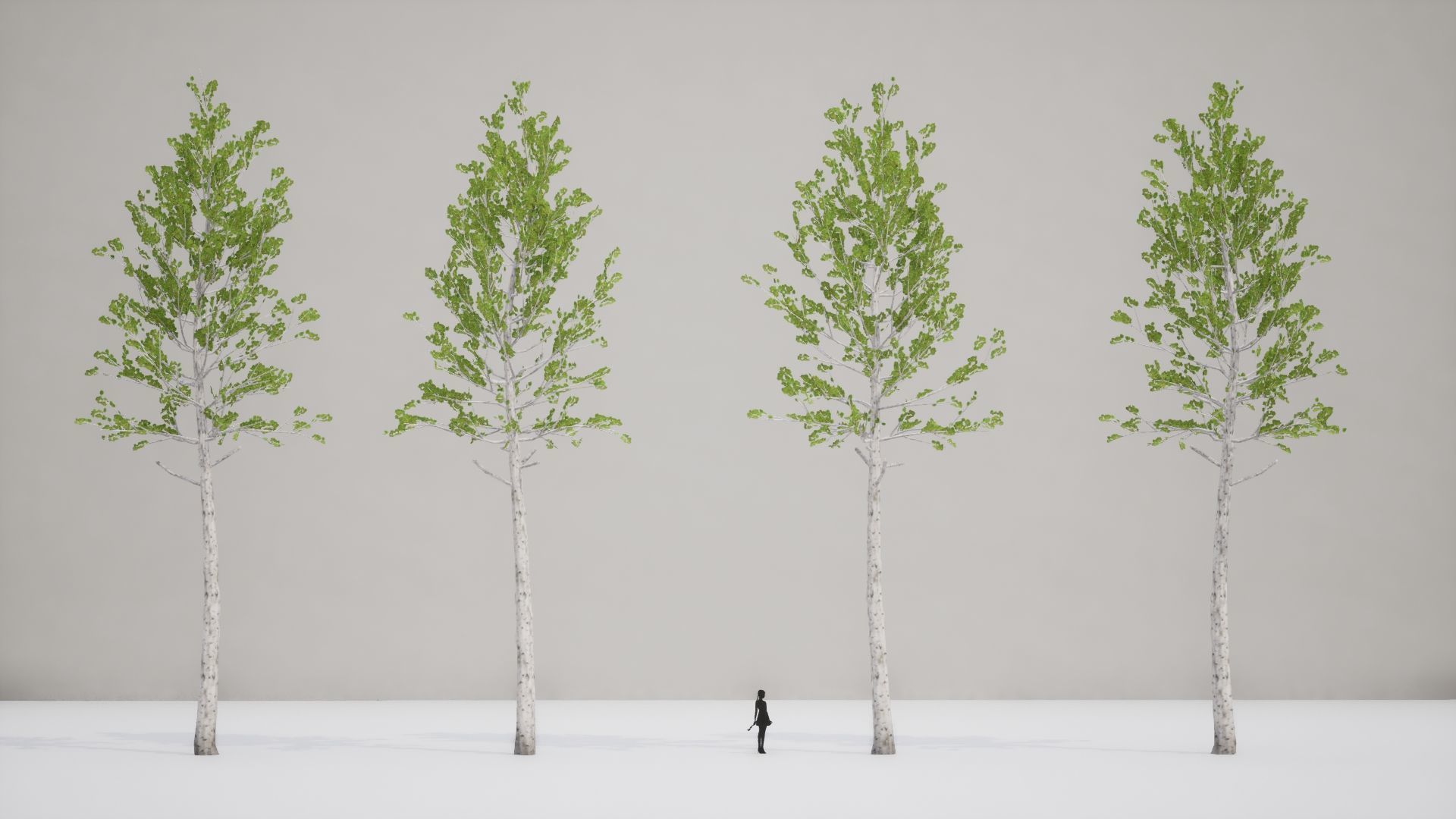 Korean Street Plant - 5 Korean Aspen Conifer Tree Low-poly 3D model_6