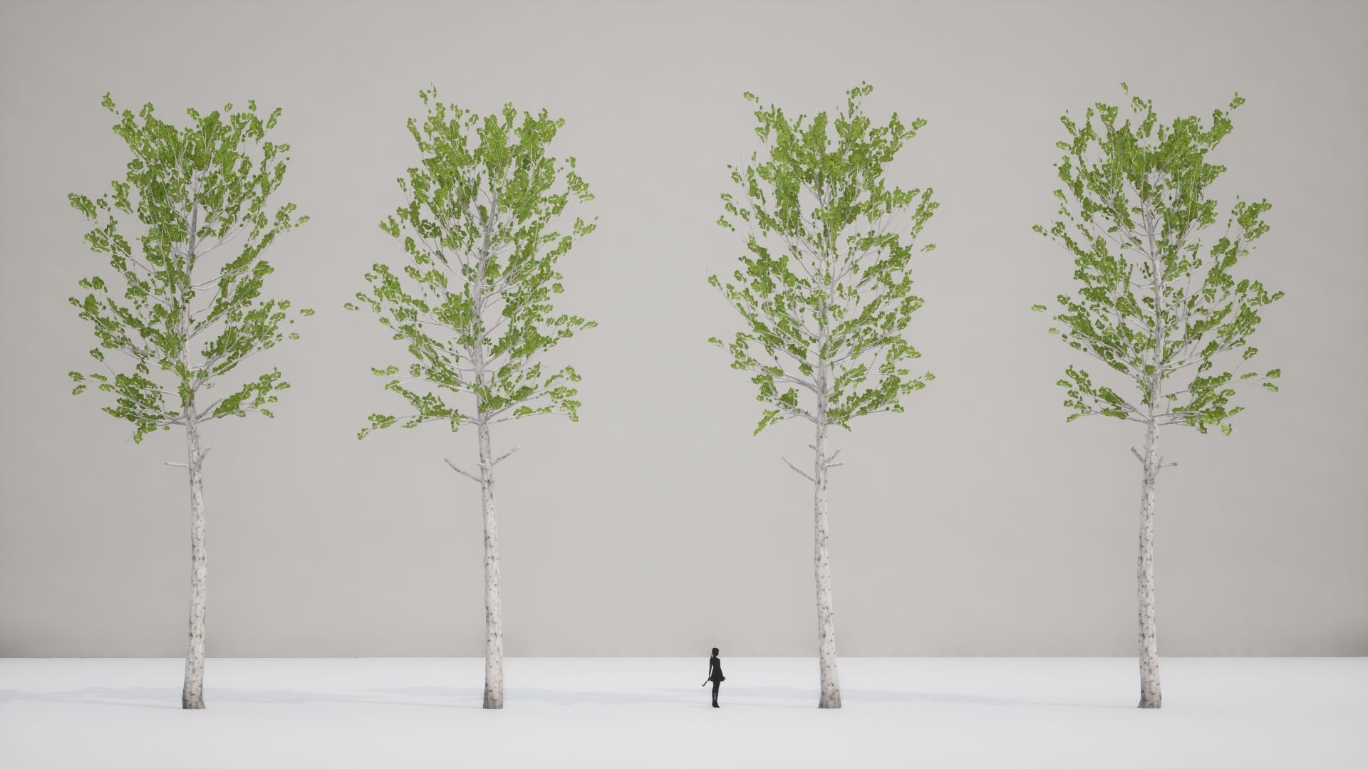 Korean Street Plant - 5 Korean Aspen Conifer Tree Low-poly 3D model_5
