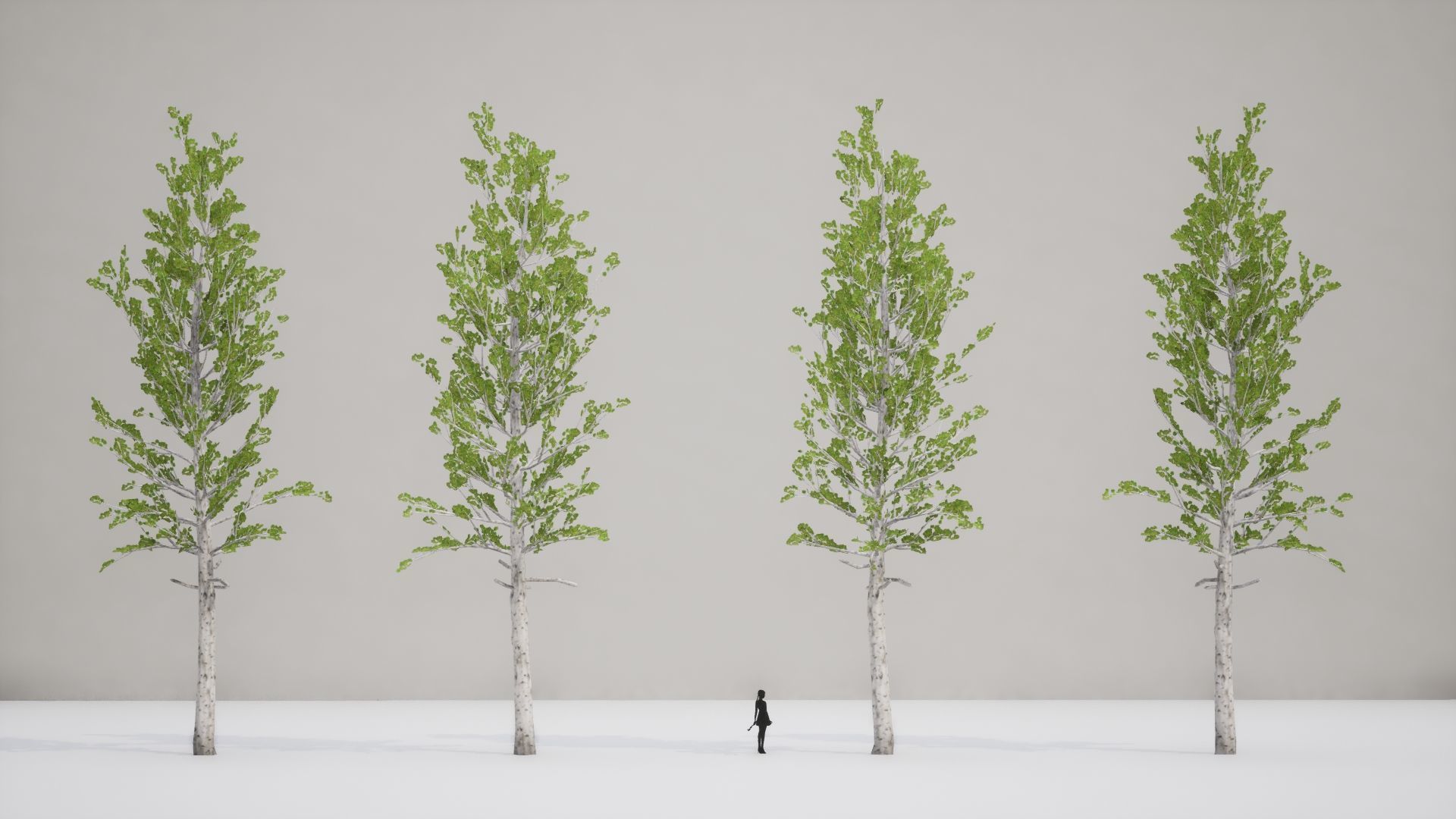 Korean Street Plant - 5 Korean Aspen Conifer Tree Low-poly 3D model_7