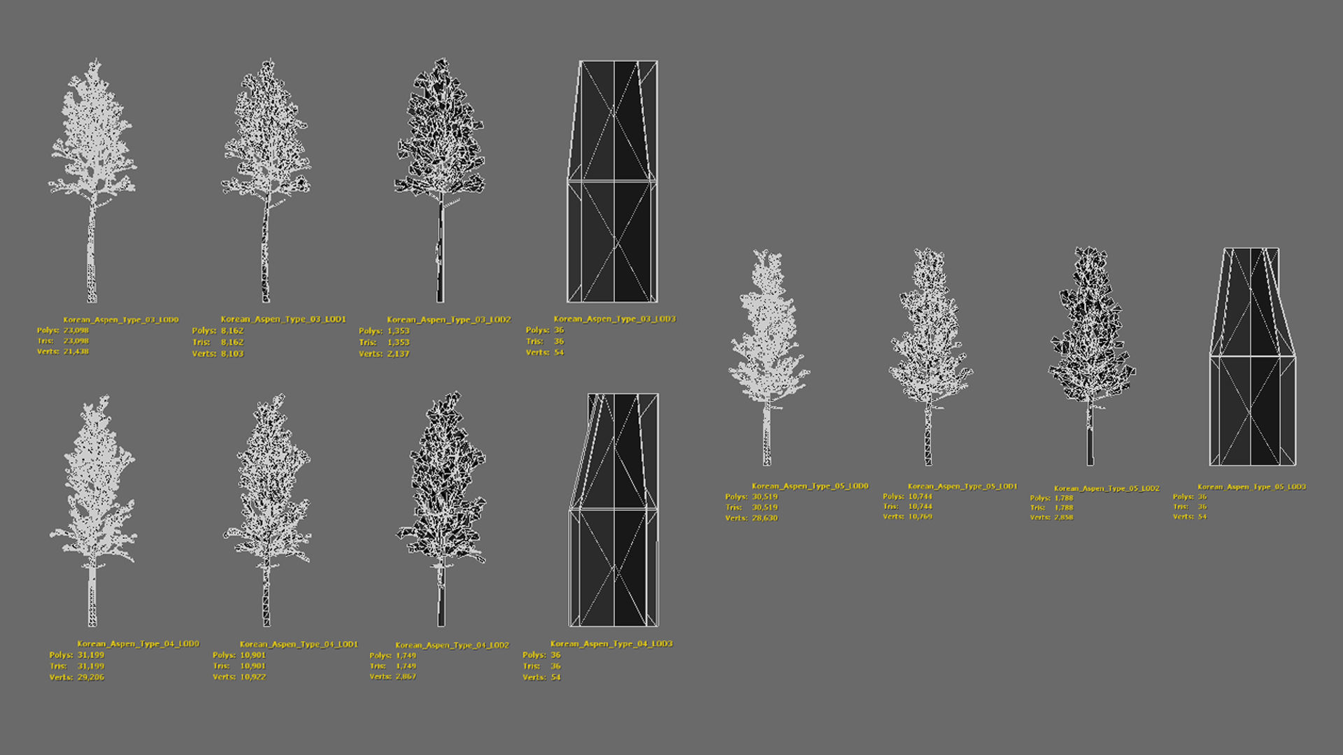 Korean Street Plant - 5 Korean Aspen Conifer Tree Low-poly 3D model_10