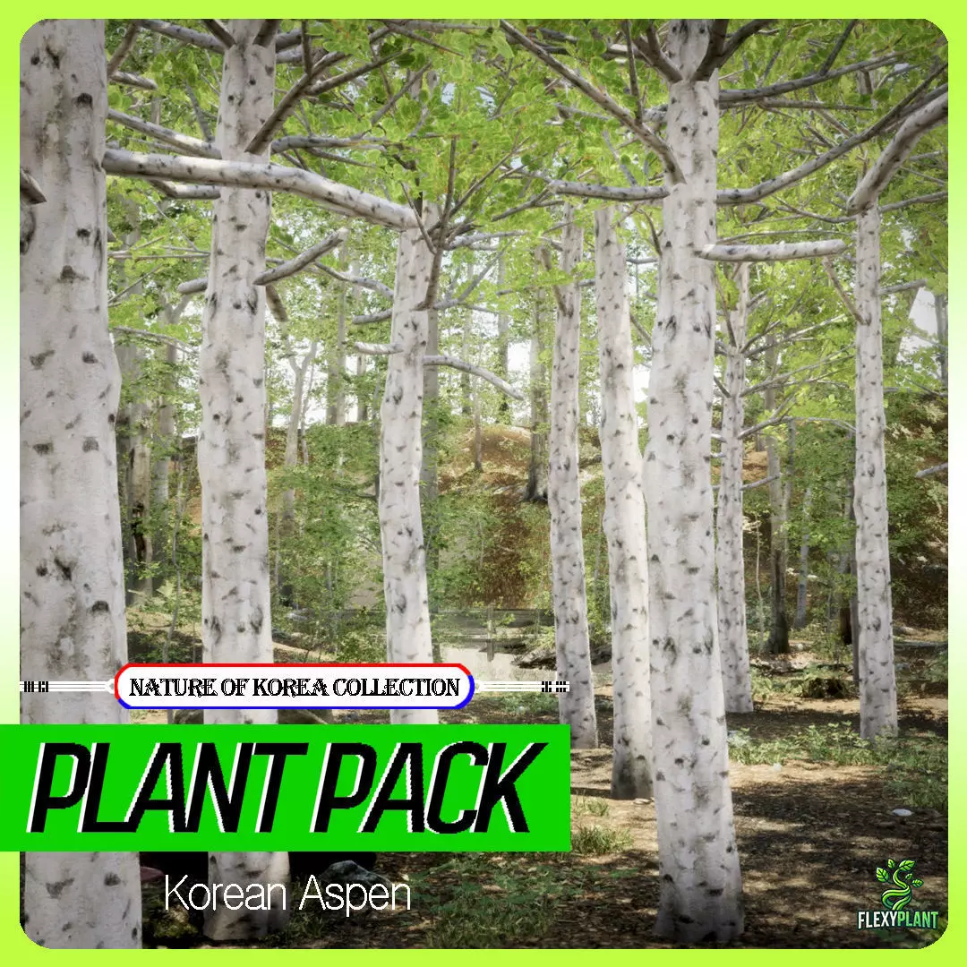 Korean Street Plant - 5 Korean Aspen Conifer Tree Low-poly 3D model_0