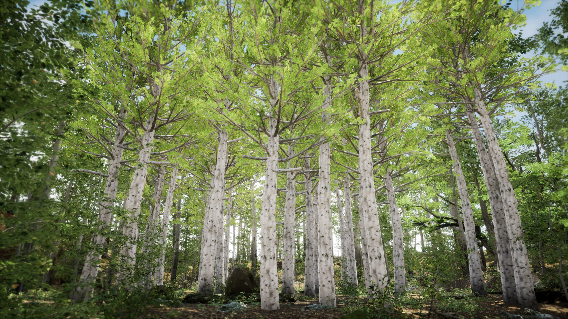 Korean Street Plant - 5 Korean Aspen Conifer Tree Low-poly 3D model_2