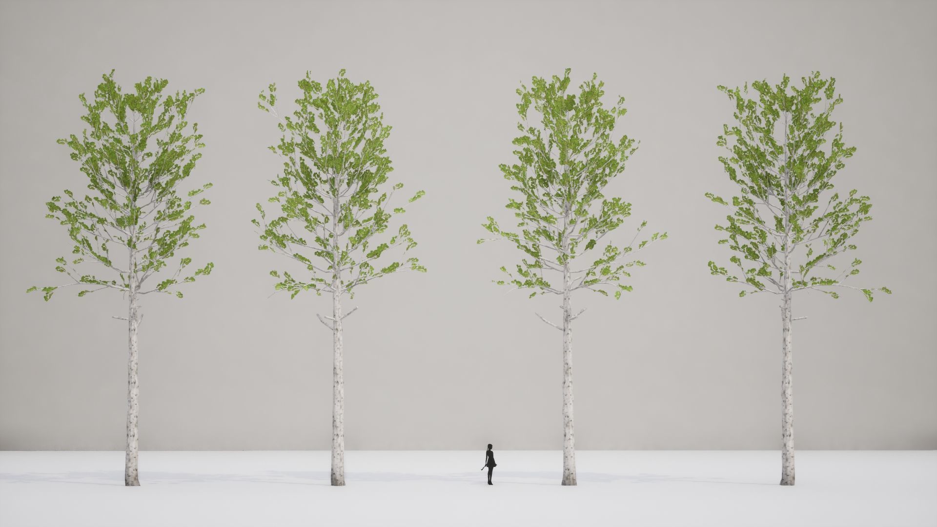 Korean Street Plant - 5 Korean Aspen Conifer Tree Low-poly 3D model_4