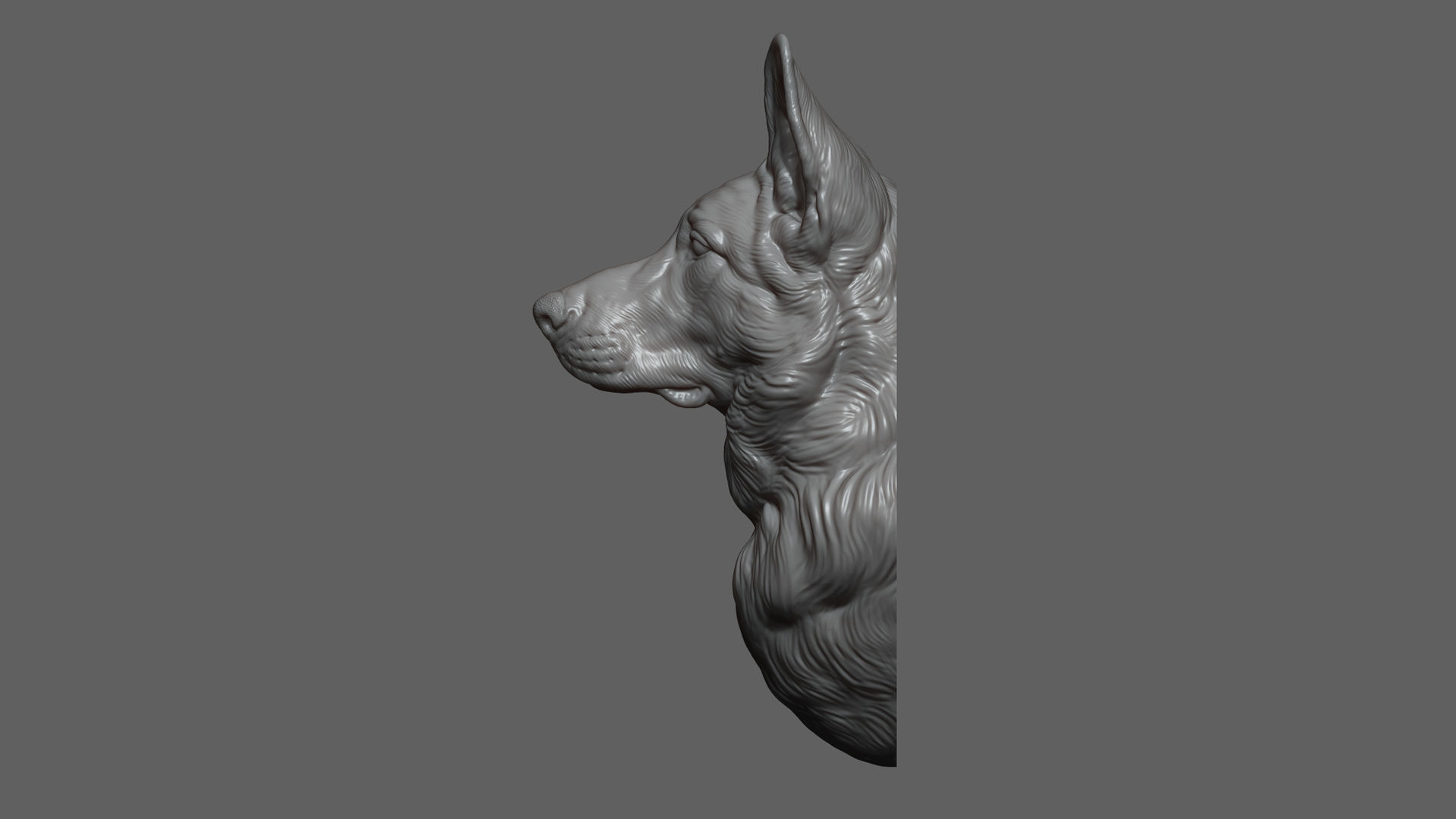 German shepherd bust 3D print model_10