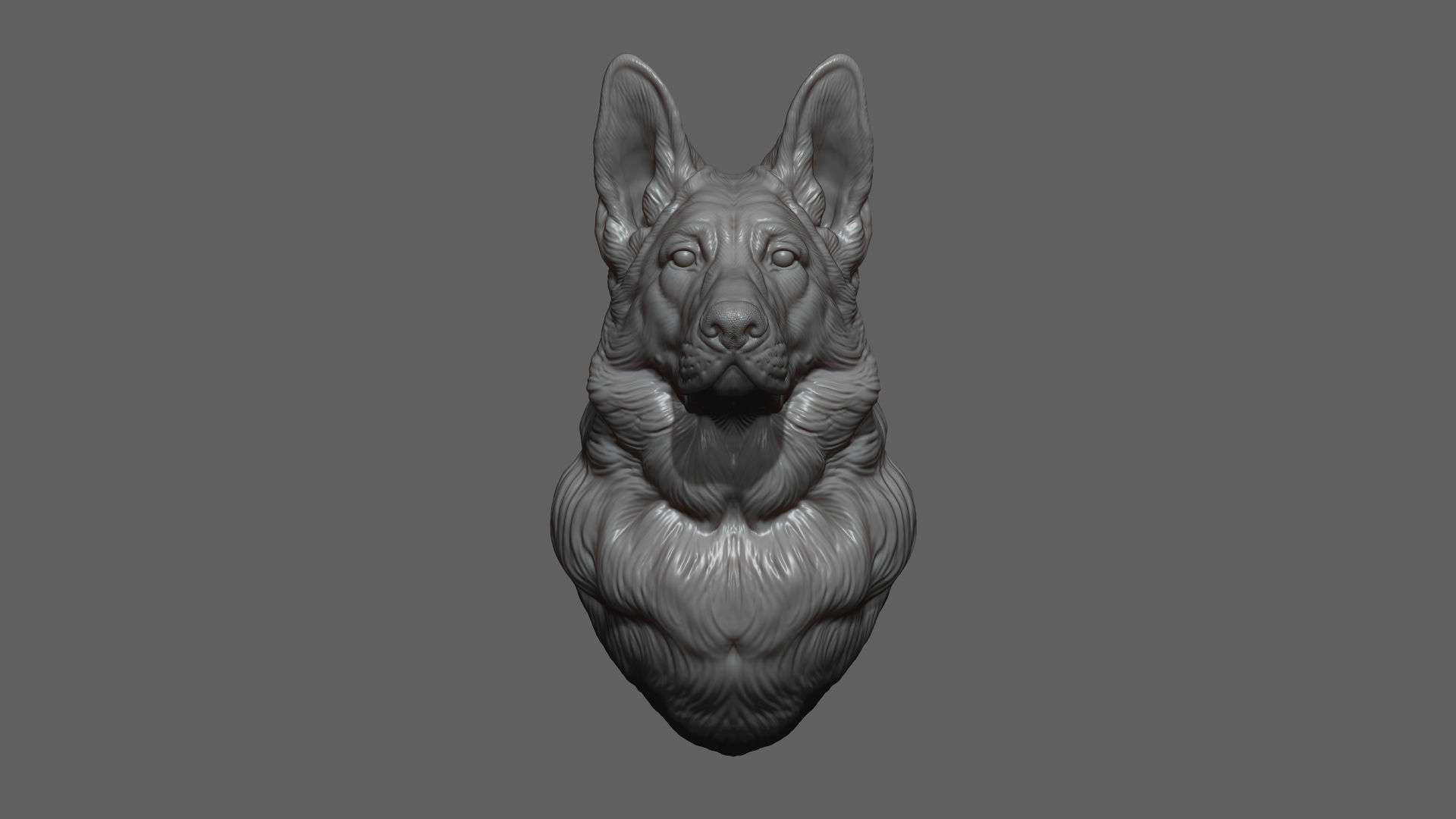 German shepherd bust 3D print model_4