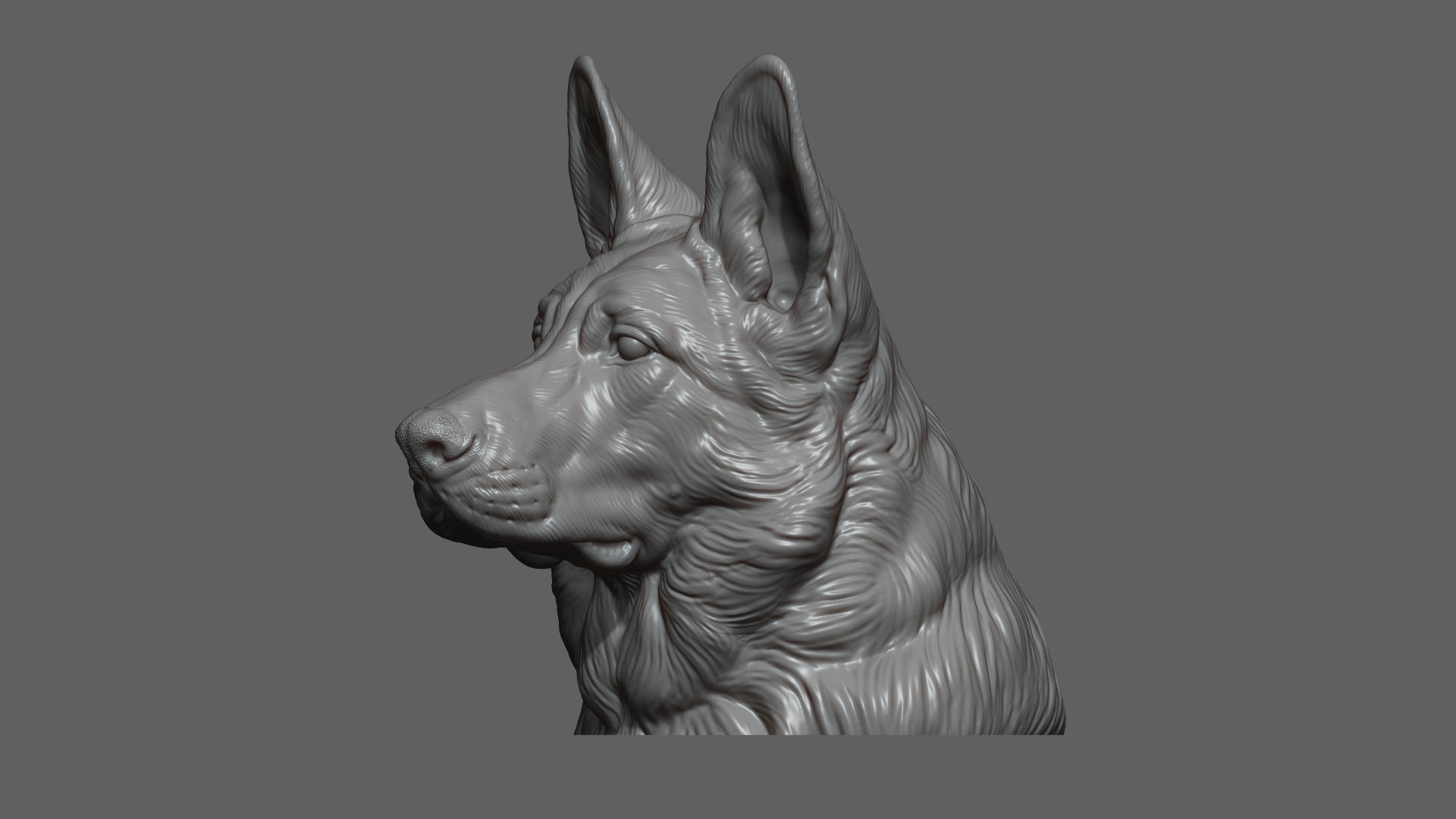 German shepherd bust 3D print model_9
