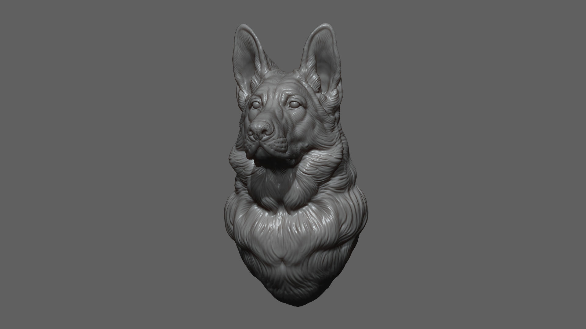 German shepherd bust 3D print model_5
