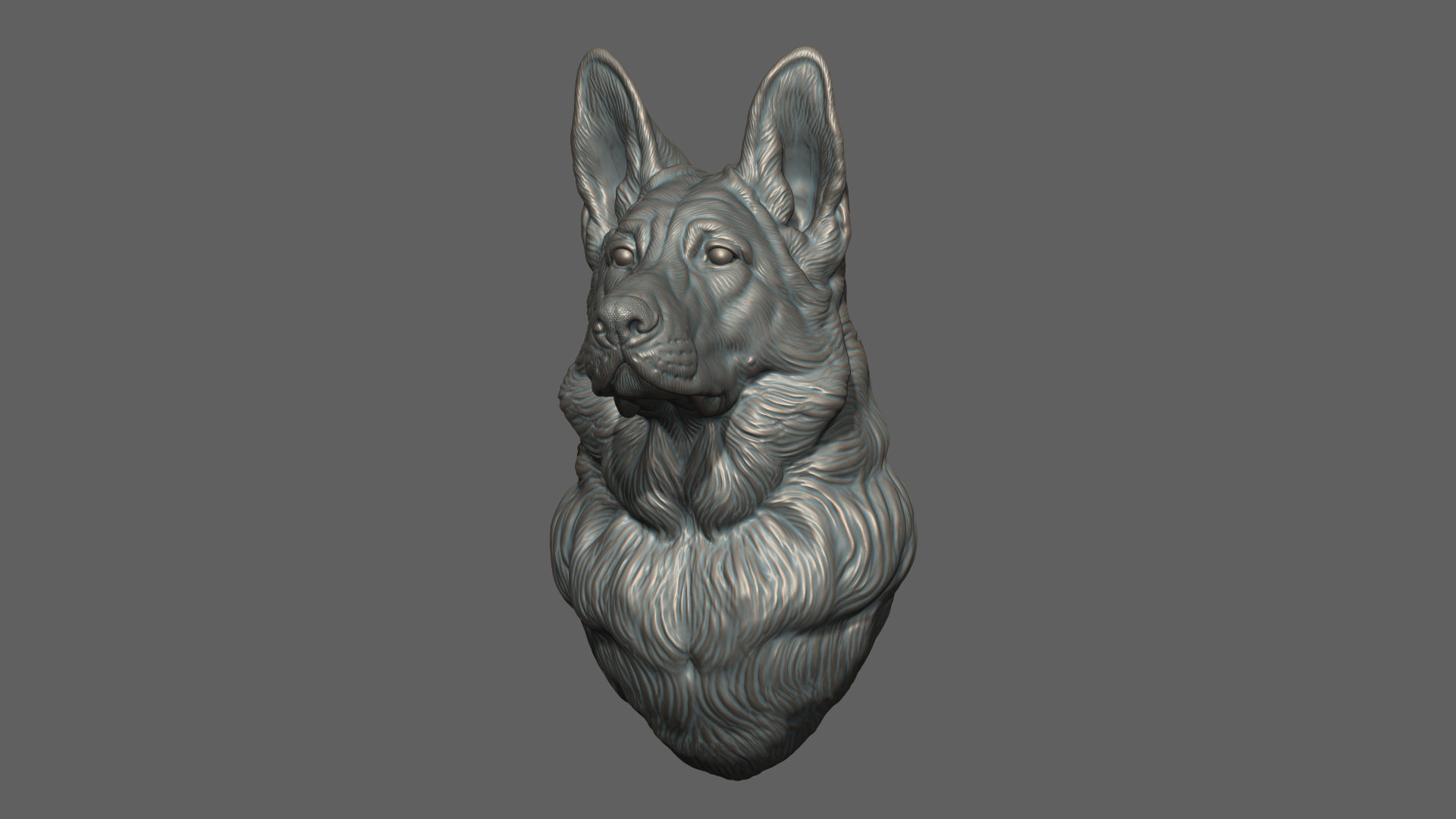 German shepherd bust 3D print model_3
