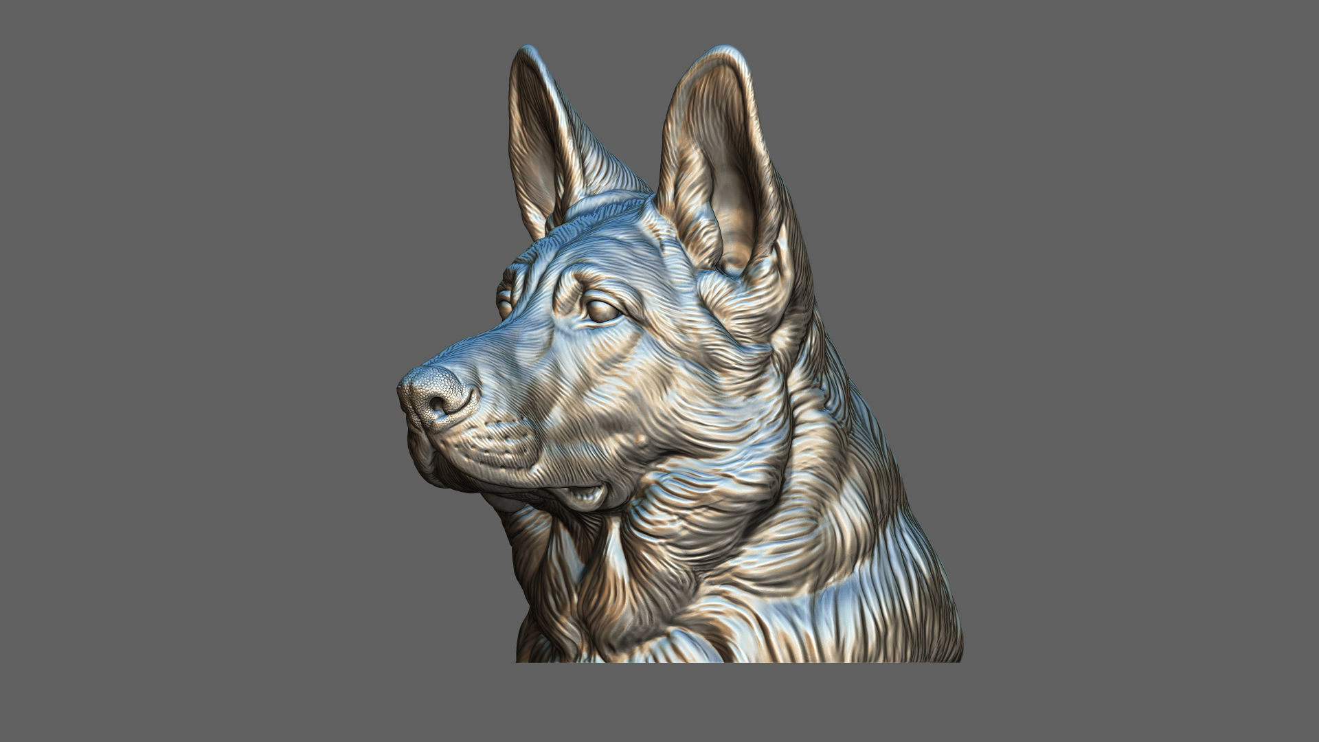 German shepherd bust 3D print model_15