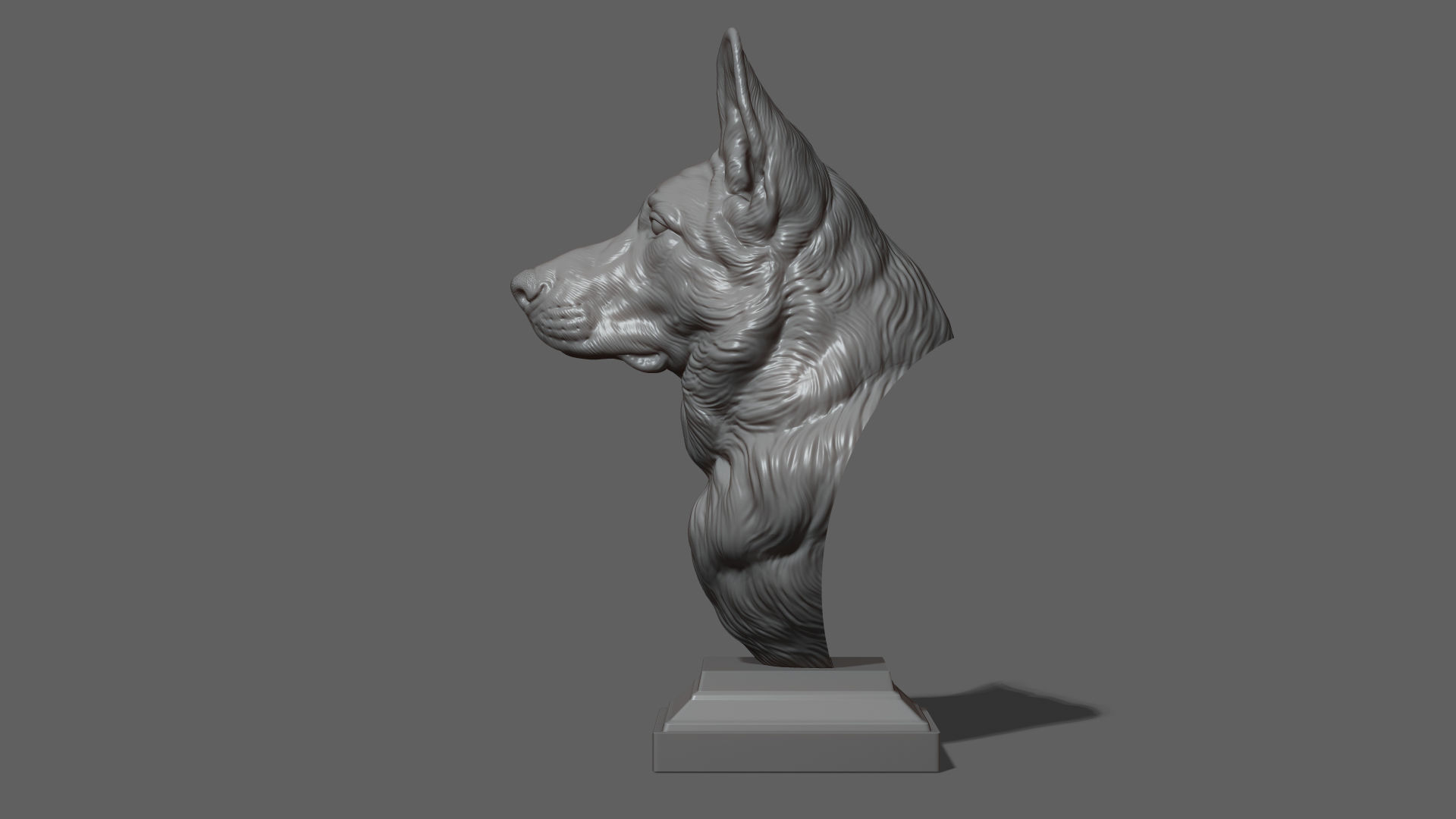 German shepherd bust 3D print model_19