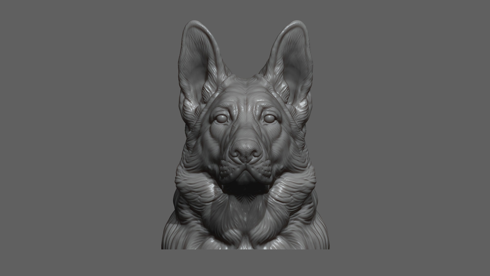 German shepherd bust 3D print model_8