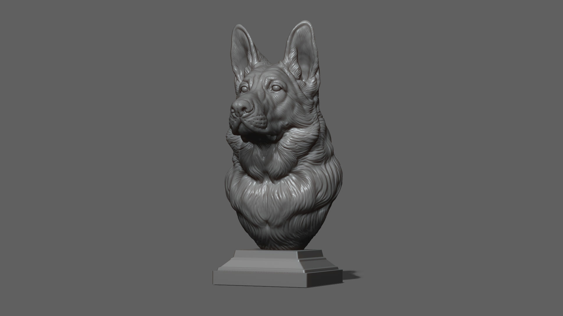 German shepherd bust 3D print model_21