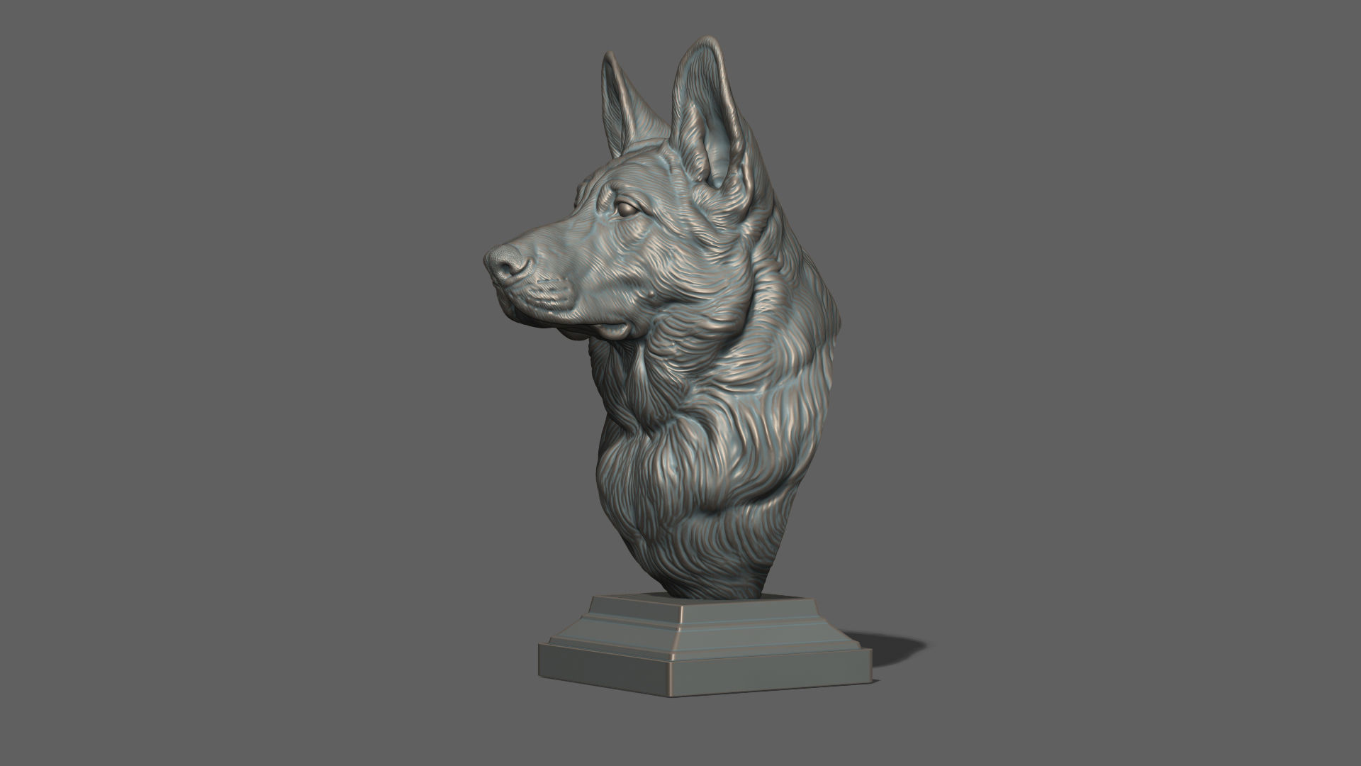 German shepherd bust 3D print model_26