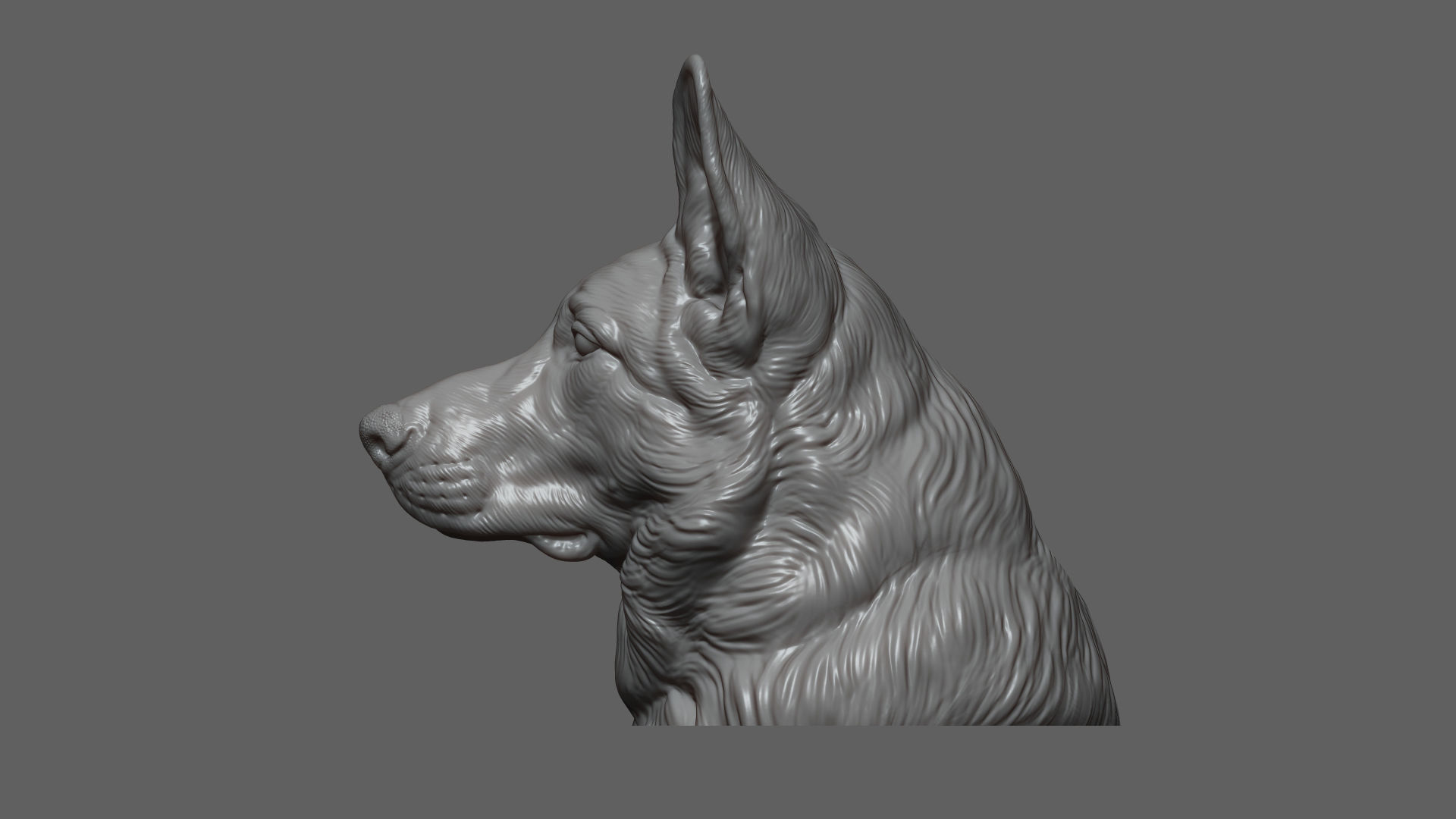 German shepherd bust 3D print model_12