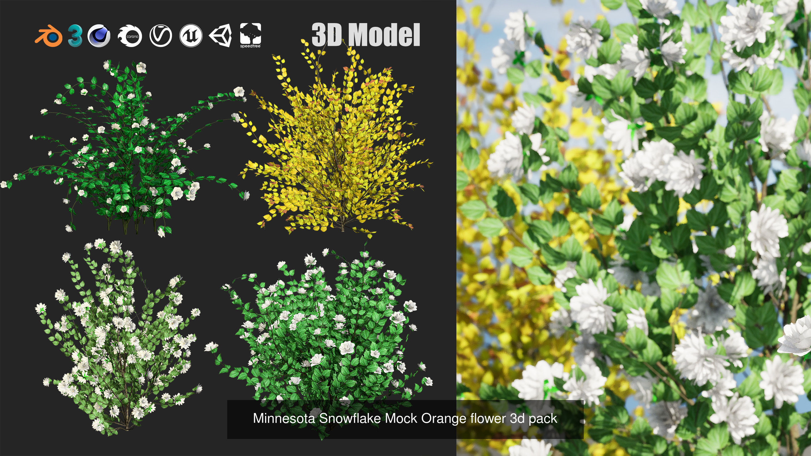 High-Poly Flowering Plants 3D Collection 01 _52