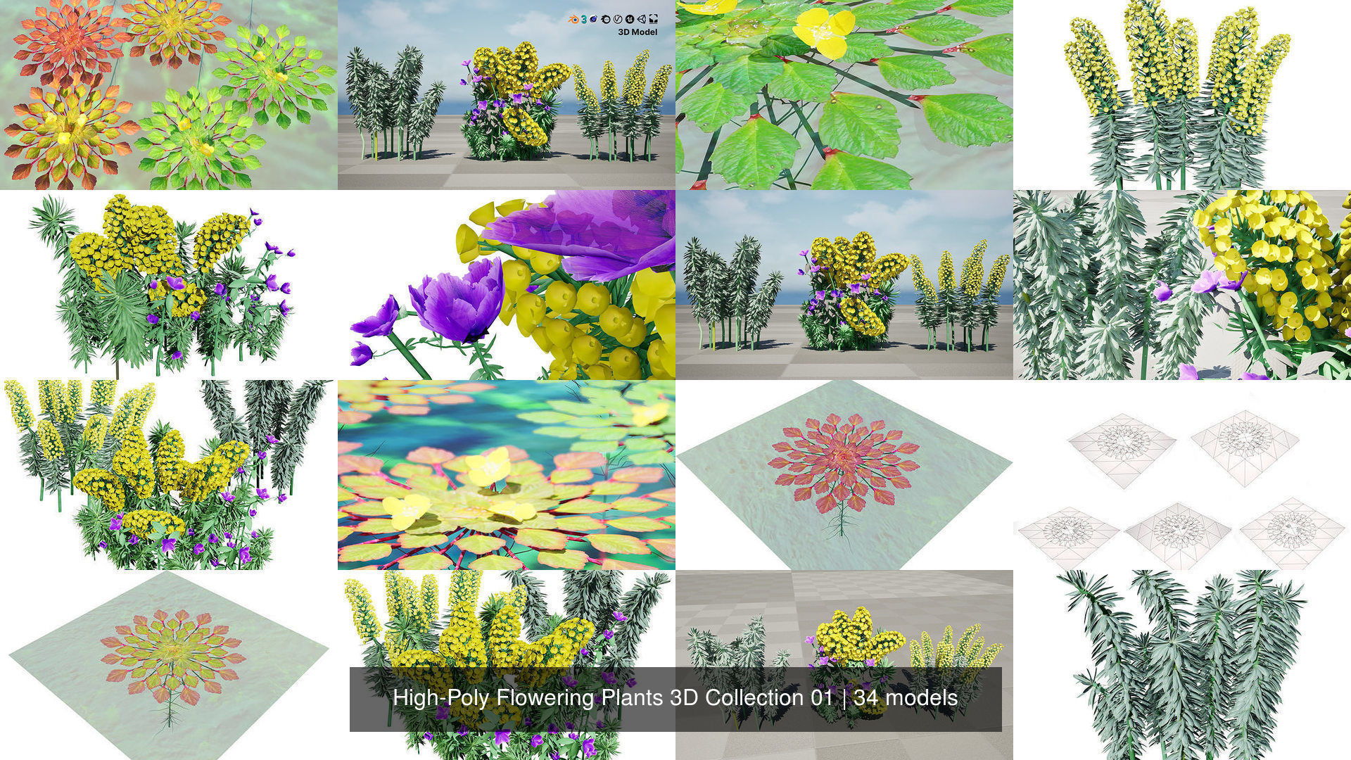 High-Poly Flowering Plants 3D Collection 01 _34