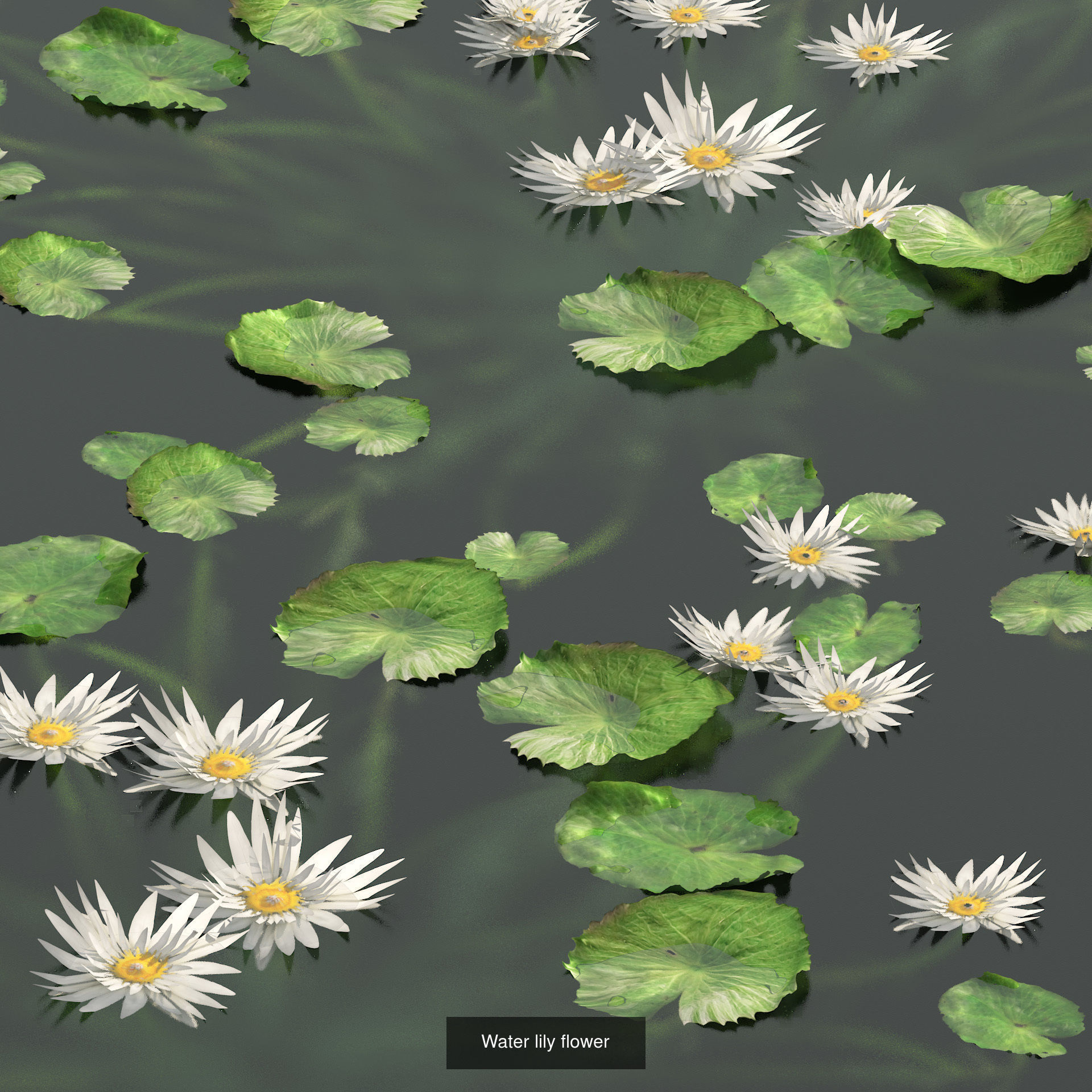 High-Poly Flowering Plants 3D Collection 01 _40
