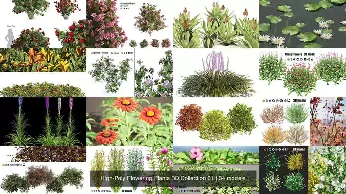 High-Poly Flowering Plants 3D Collection 01 